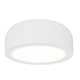 Plafon Cedrone PL Bianco 12 CCT OR85884 OPEN DESIGN HIGHLIGHTS